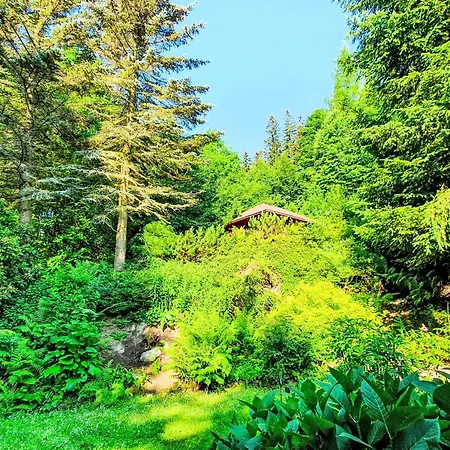 Feriehus Karpacz By Interhome Kowary